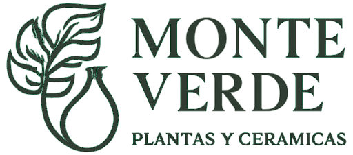 Monte Verde, Plantas y Cerámicas